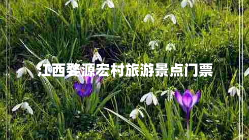 江西婺源宏村旅游景點門票