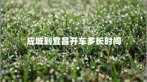 應(yīng)城到宜昌開車多長時間