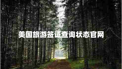 美國旅游簽證查詢狀態(tài)官網(wǎng) 美國旅游簽證查詢狀態(tài)官網(wǎng)