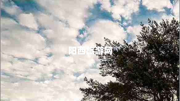 陽西旅游網(wǎng)