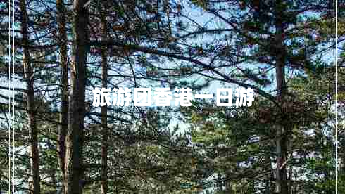 旅游團(tuán)香港一日游