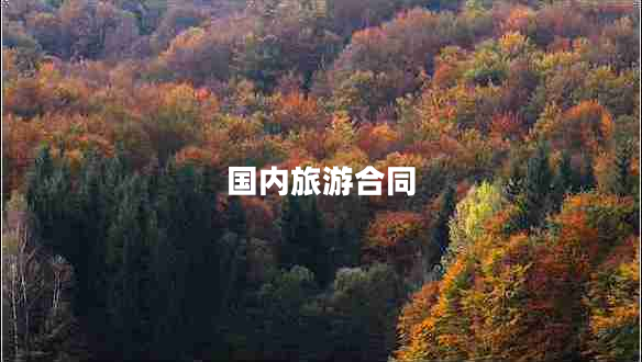 國(guó)內(nèi)旅游合同