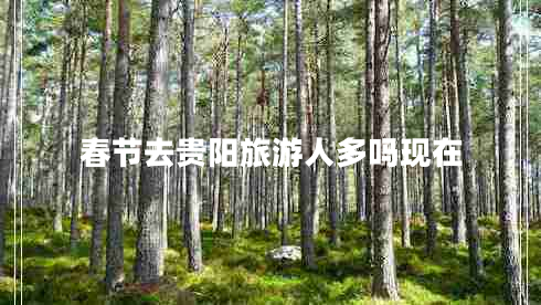 春節(jié)去貴陽旅游人多嗎現在 春節(jié)去貴陽旅游人多嗎現在