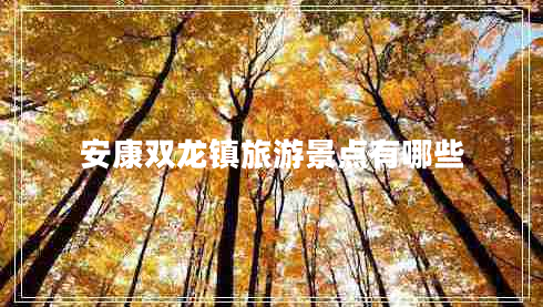 安康雙龍鎮(zhèn)旅游景點有哪些
