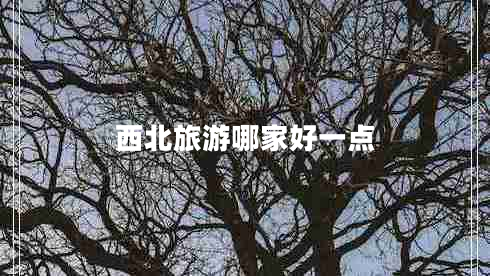 西北旅游哪家好一點(diǎn)