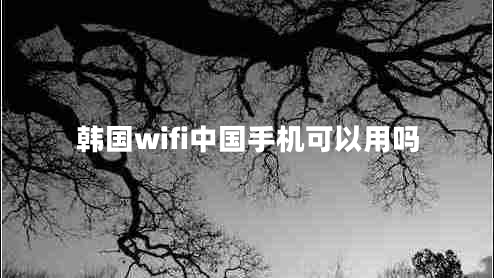 韓國(guó)wifi中國(guó)手機(jī)可以用嗎
