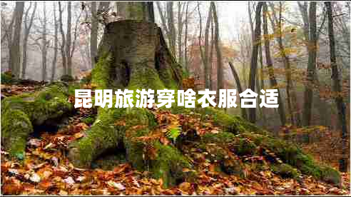 昆明旅游穿啥衣服合適 昆明旅游穿啥衣服合適