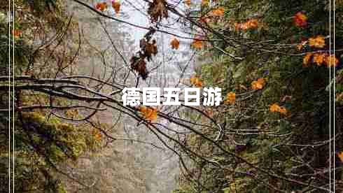 德國(guó)五日游