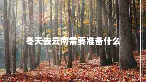 冬天去云南需要準(zhǔn)備什么 冬天去云南需要準(zhǔn)備什么
