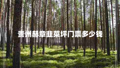 貴州赫章韭菜坪門票多少錢