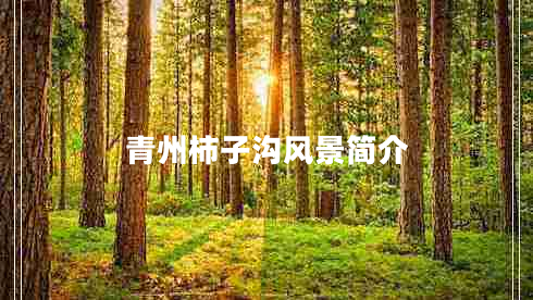青州柿子溝風(fēng)景簡介