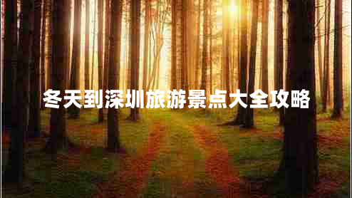 冬天到深圳旅游景點(diǎn)大全攻略