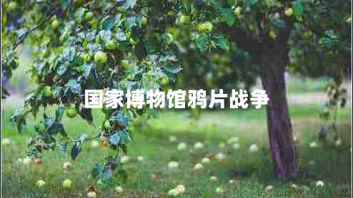 國家博物館鴉片戰(zhàn)爭 國家博物館鴉片戰(zhàn)爭