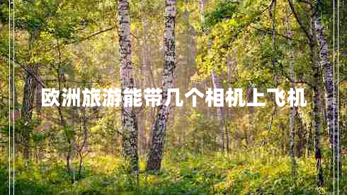 歐洲旅游能帶幾個相機上飛機