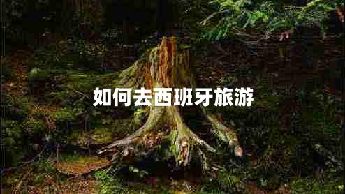 如何去西班牙旅游 如何去西班牙旅游