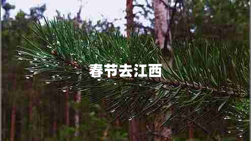 春節(jié)去江西 春節(jié)去江西