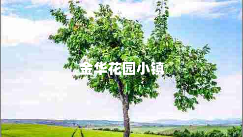 金華花園小鎮(zhèn) 金華花園小鎮(zhèn)