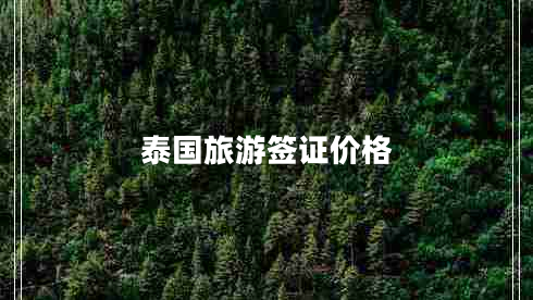 泰國旅游簽證價格 泰國旅游簽證價格