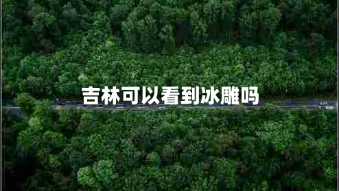 吉林可以看到冰雕嗎