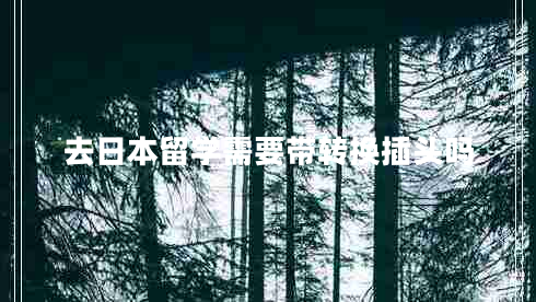 去日本留學需要帶轉(zhuǎn)換插頭嗎