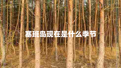 塞班島現(xiàn)在是什么季節(jié)