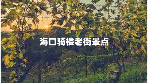 海口騎樓老街景點(diǎn) ??隍T樓老街景點(diǎn)