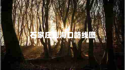 石家莊到?？诼肪€圖