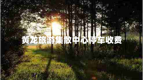 黃龍旅游集散中心停車收費(fèi)