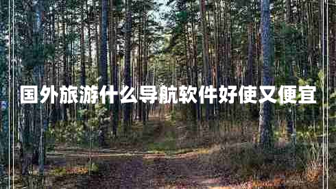 國外旅游什么導(dǎo)航軟件好使又便宜