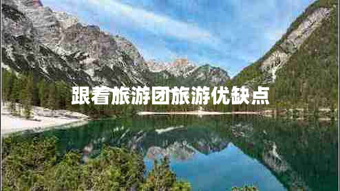 跟著旅游團旅游優(yōu)缺點