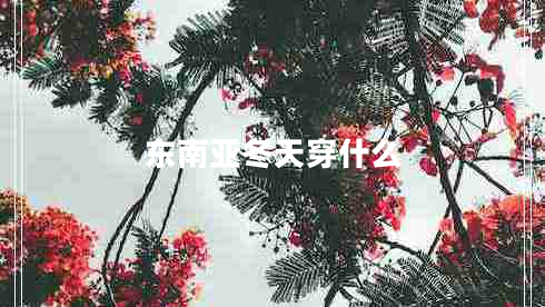 東南亞冬天穿什么 東南亞冬天穿什么