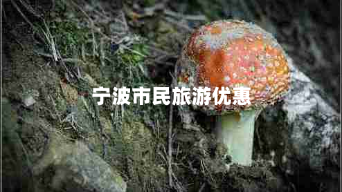 寧波市民旅游優(yōu)惠