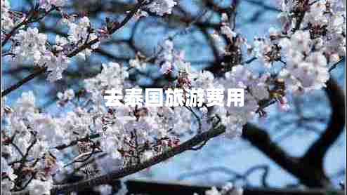 去泰國(guó)旅游費(fèi)用