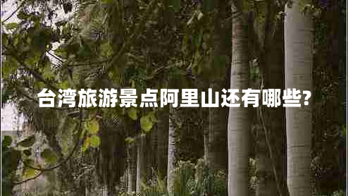 臺灣旅游景點阿里山還有哪些?