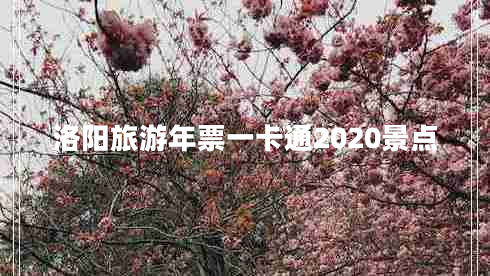 洛陽旅游年票一卡通2020景點