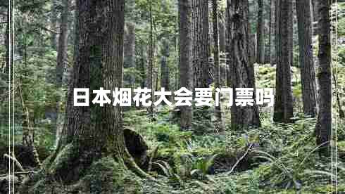 日本煙花大會要門票嗎