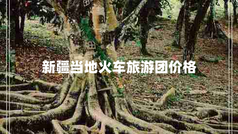 新疆當(dāng)?shù)鼗疖嚶糜螆F價格 新疆當(dāng)?shù)鼗疖嚶糜螆F價格