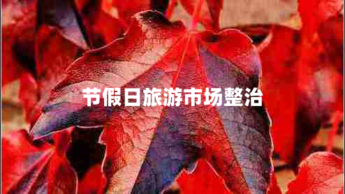 節(jié)假日旅游市場整治