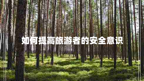 如何提高旅游者的安全意識 如何提高旅游者的安全意識