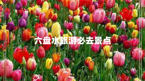 六盤水旅游必去景點(diǎn)