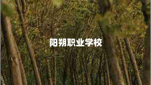 陽朔職業(yè)學校 陽朔職業(yè)學校