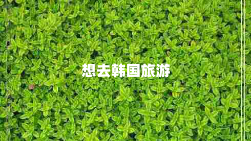 想去韓國(guó)旅游