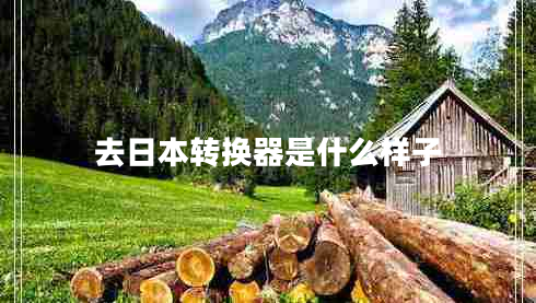 去日本轉換器是什么樣子