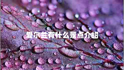 愛爾蘭有什么景點介紹