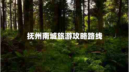 撫州南城旅游攻略路線 撫州南城旅游攻略路線
