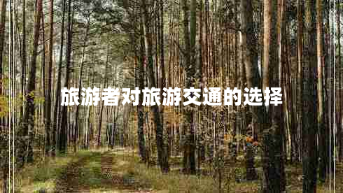 旅游者對旅游交通的選擇