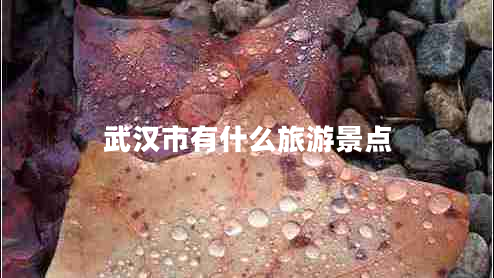 武漢市有什么旅游景點 武漢市有什么旅游景點