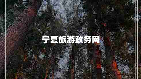 寧夏旅游政務網(wǎng)