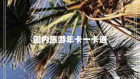 國內旅游年卡一卡通