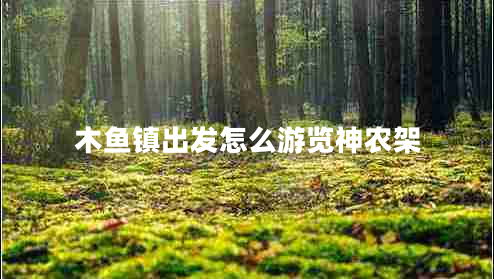 木魚鎮(zhèn)出發(fā)怎么游覽神農(nóng)架
